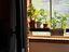 Immagine 25