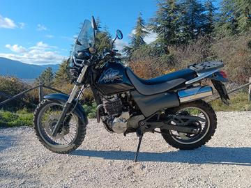 Honda SLR 650 moto A2 enduro naked scrambler 