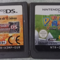 Giochi Nintendo DS