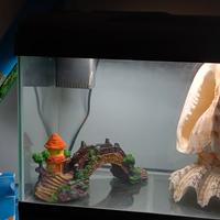 acquario