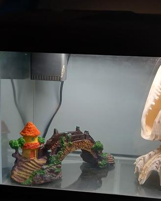 acquario