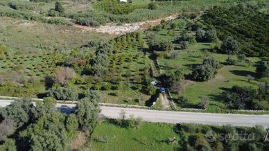 Terreno - Siracusa