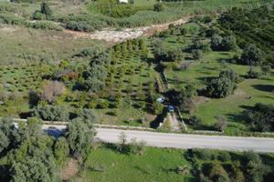 Terreno - Siracusa