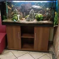 Acquario completo