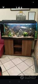 Acquario completo