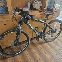 bicicletta bottecchia 