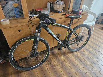 bicicletta bottecchia 