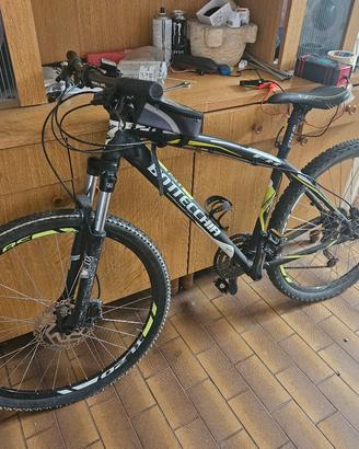 bicicletta bottecchia 