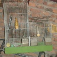 GABBIETTE PER UCCELLINI