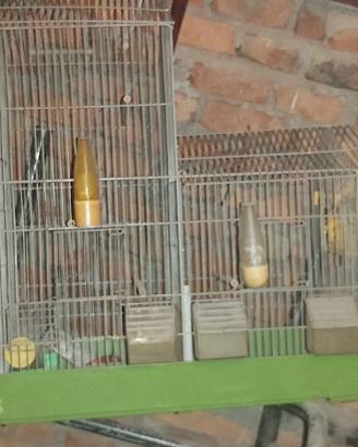 GABBIETTE PER UCCELLINI