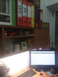 Impiegata contabile o amministrativa