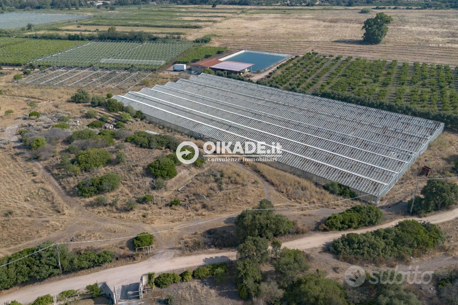 Pula "Loc. Fra Millano" - Terreno agricolo - Vista 5