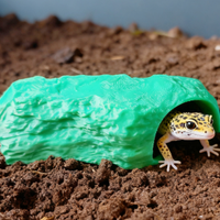 Grotta terrario teca