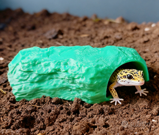Grotta terrario teca