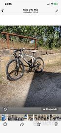 Bicicletta Lombardo 26