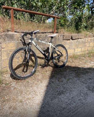 Bicicletta Lombardo 26