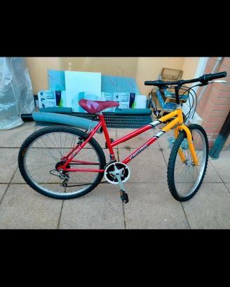 Mountain bike