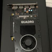 Nvidia quadro p2200 scheda video