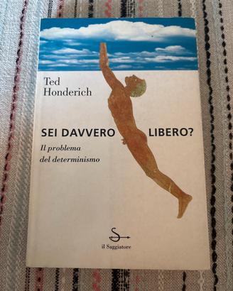 Sei davvero libero? Il problema del determinismo
