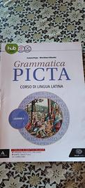 pepe Biliardo Grammatica PICTA Corso di lingua  2