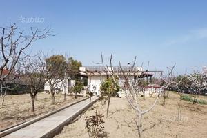 Villa a Canne della Battaglia