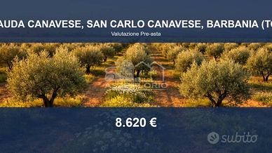 Immobile in asta di 21332 m² a San Carlo Canavese
