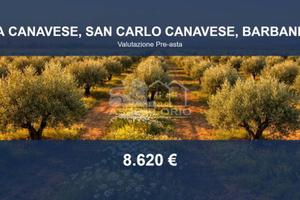 Immobile in asta di 21332 m² a San Carlo Canavese