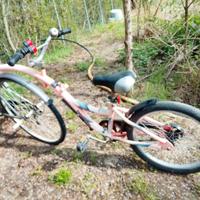Rimorchio tandem per bambini 5-10 anni 18 pollici
