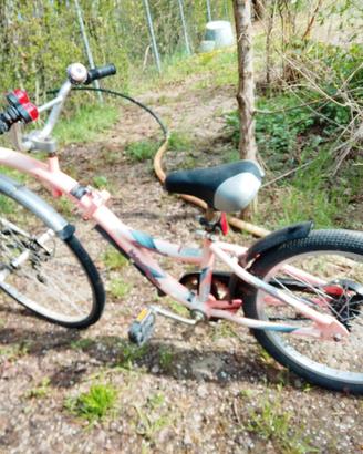 Rimorchio bici per bambini 5-10 anni 18 pollici