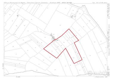 Terreno Agricolo 90 alberi Ulivo + Casa Scicli RG