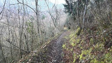 TER. AGRICOLO A LIERNA