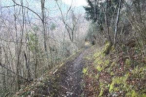 TER. AGRICOLO A LIERNA