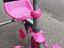 Immagine 3