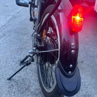 Bicicletta elettrica