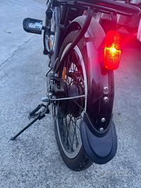 Bicicletta elettrica