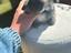 Immagine 3