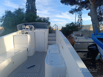 Barca cicala e bertinetti