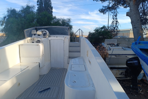 Barca cicala e bertinetti