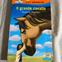 Libro “Il Grande Cavallo”