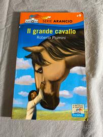 Libro “Il Grande Cavallo”
