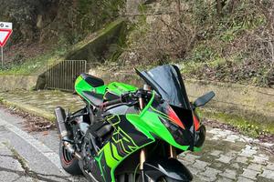 Kawasaki zx10r