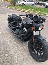 Indian scout bobber