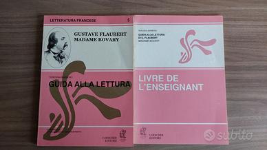 2 volumi dedicati a Madame Bovary Gustave Flaubert
