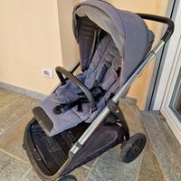 Inglesina aptica duo