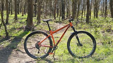 Transition trans am 29