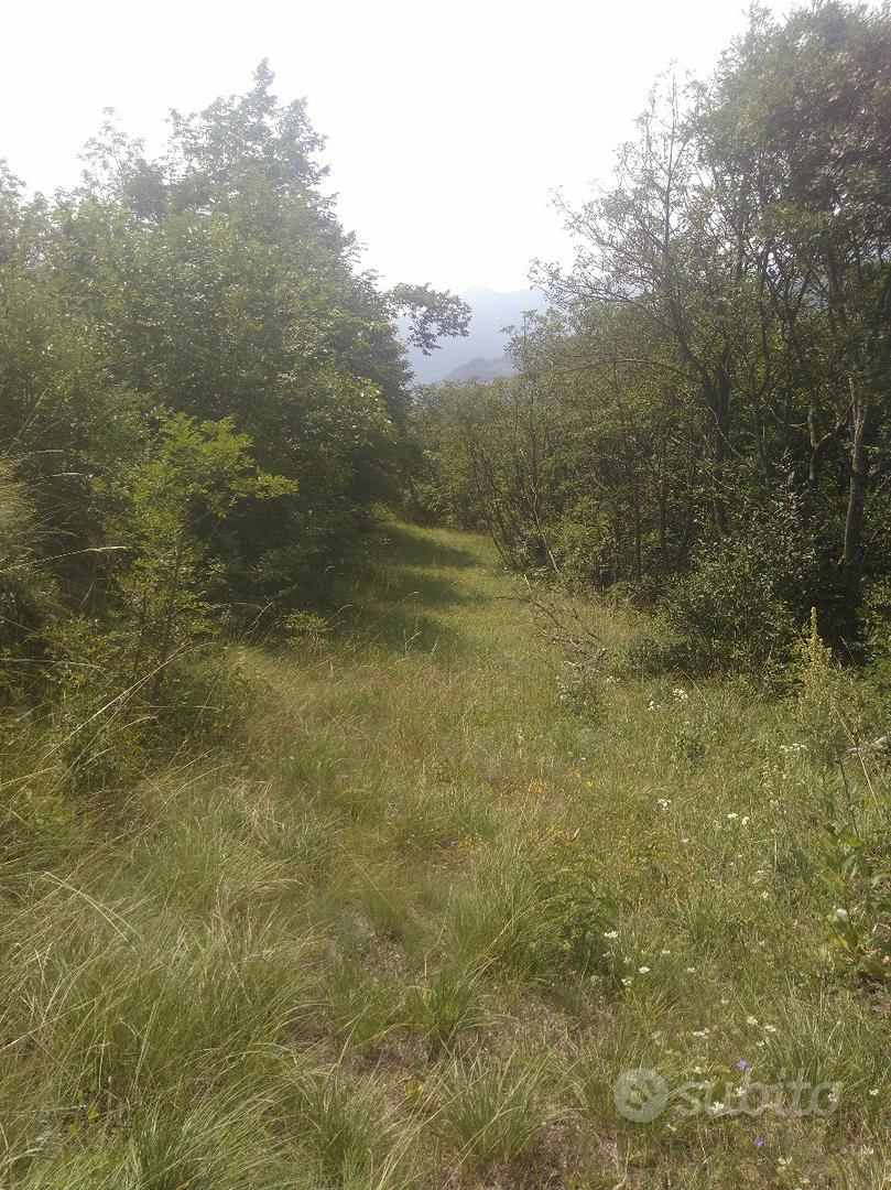 Terreno agricolo - Vista 3