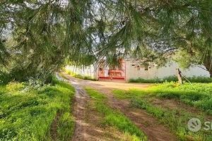Casa ind. con giardino a 5 minuti dal centro