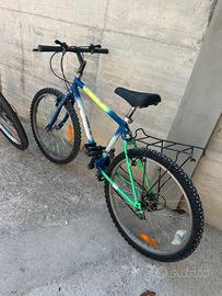 Mountain Bike 24
