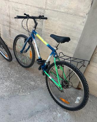 Mountain Bike 24
