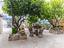 Immagine 26